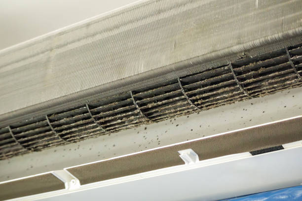 Best HVAC Duct Inspection Services  in Mountain Home, ID